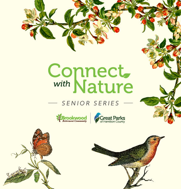 Connect with Nature Senior Series