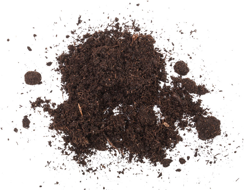 background dirt