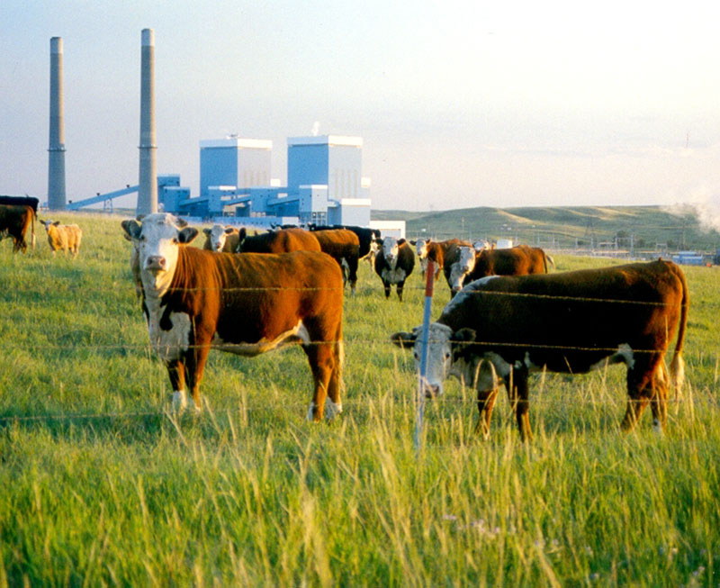 land and resource services