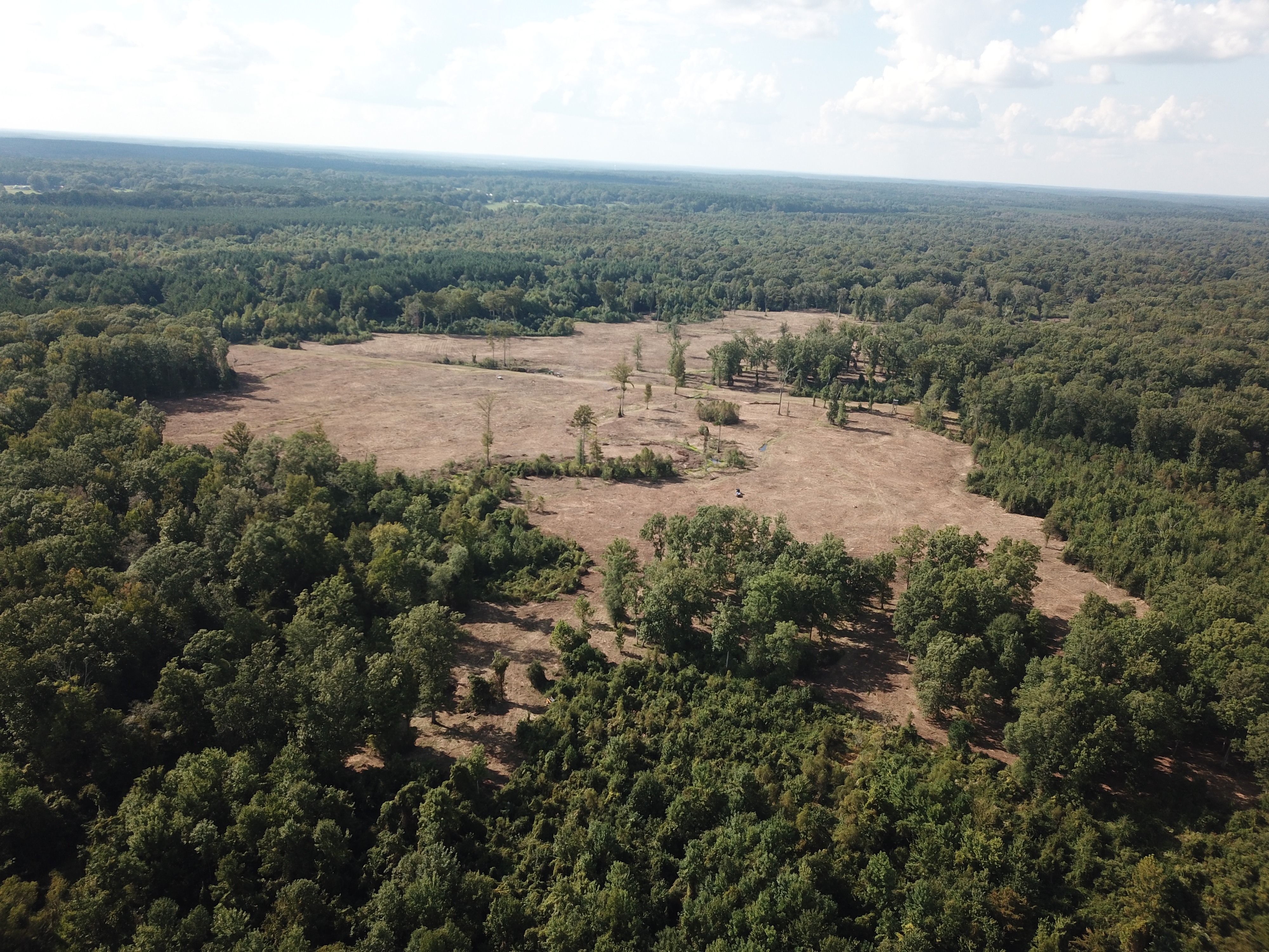 Mitigation Banking