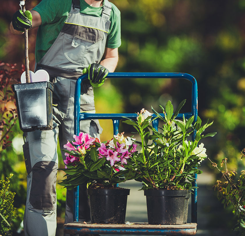 Dutch Valley Landscape Contractors Lynwood Illinois Chicagoland