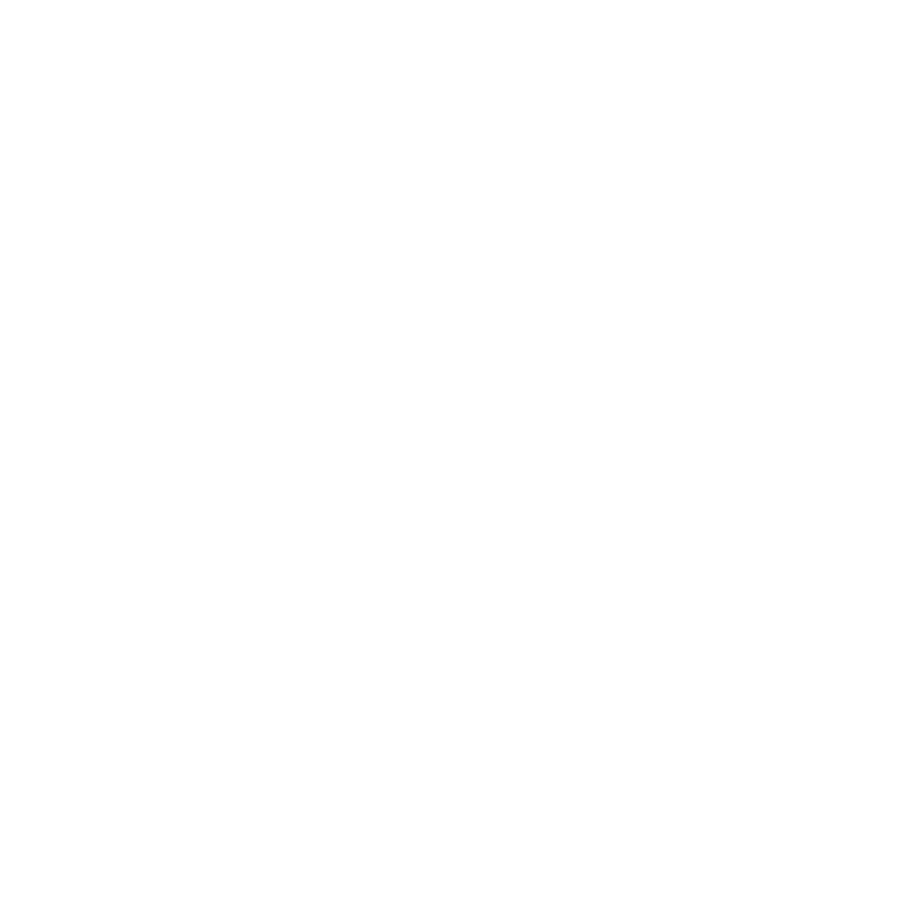 The Texas Film Commission Logo