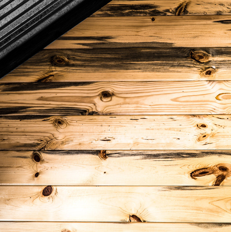 beetle kill pine