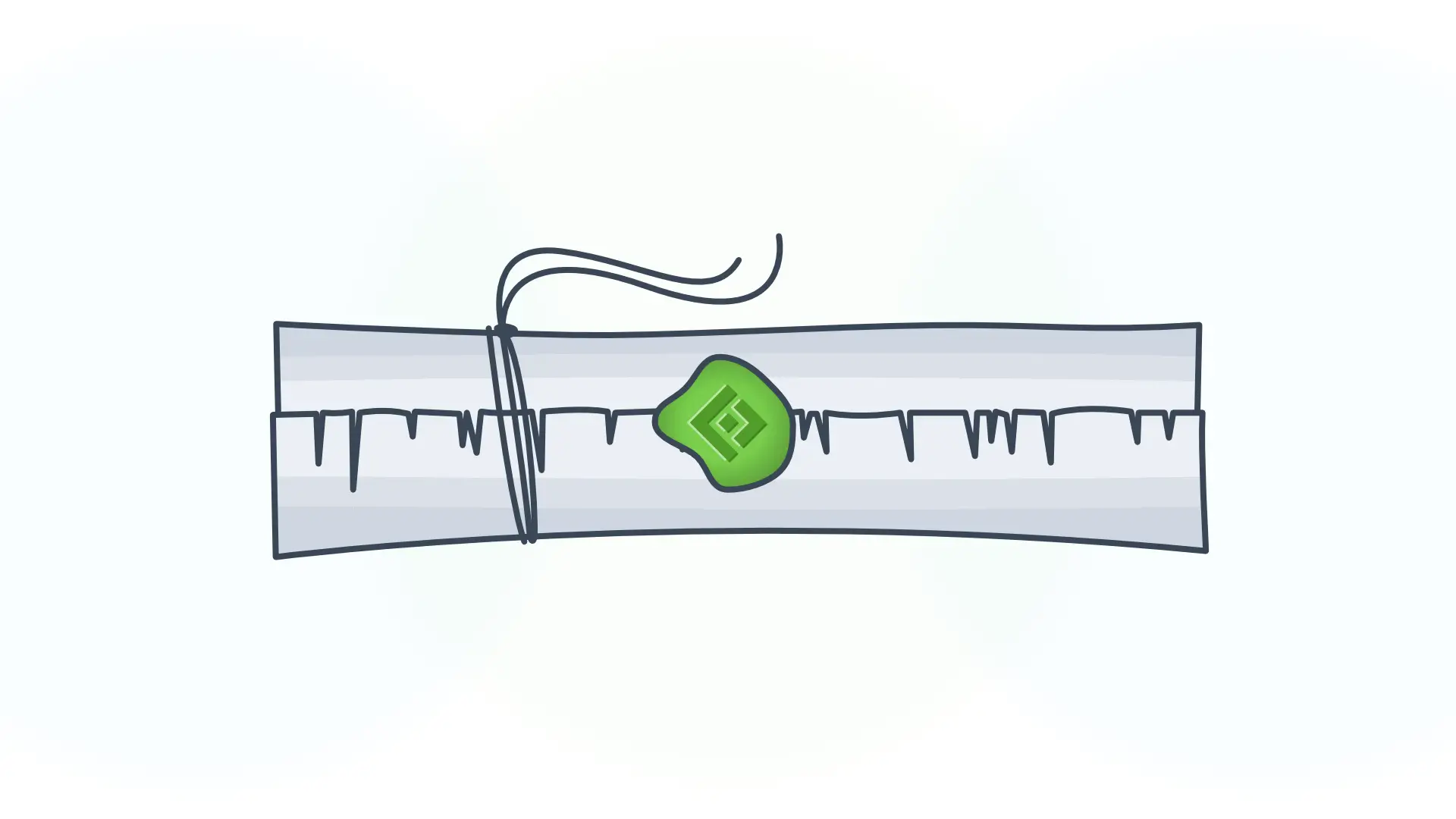 Form Security You Can Trust