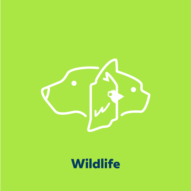 Humane Indiana Logomark Wildlife