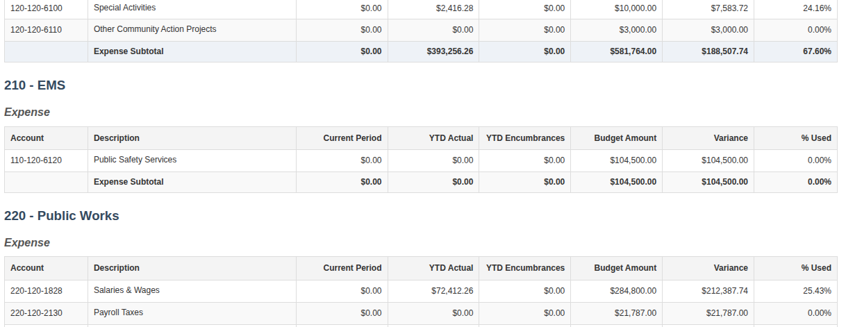 Budget Analysis Report showing organized sections by fund and department with clear headings and subtotals