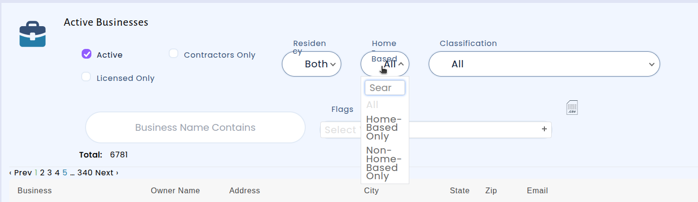 Licensing Activity Report with new home-based business filter dropdown