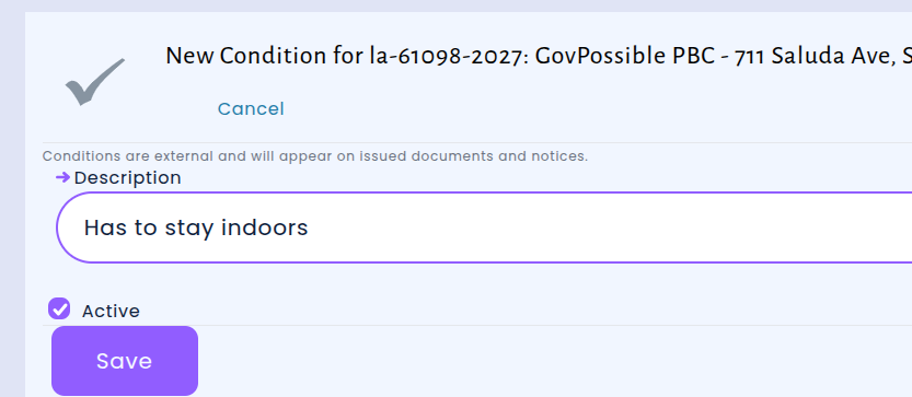 Conditions displayed on a business license record