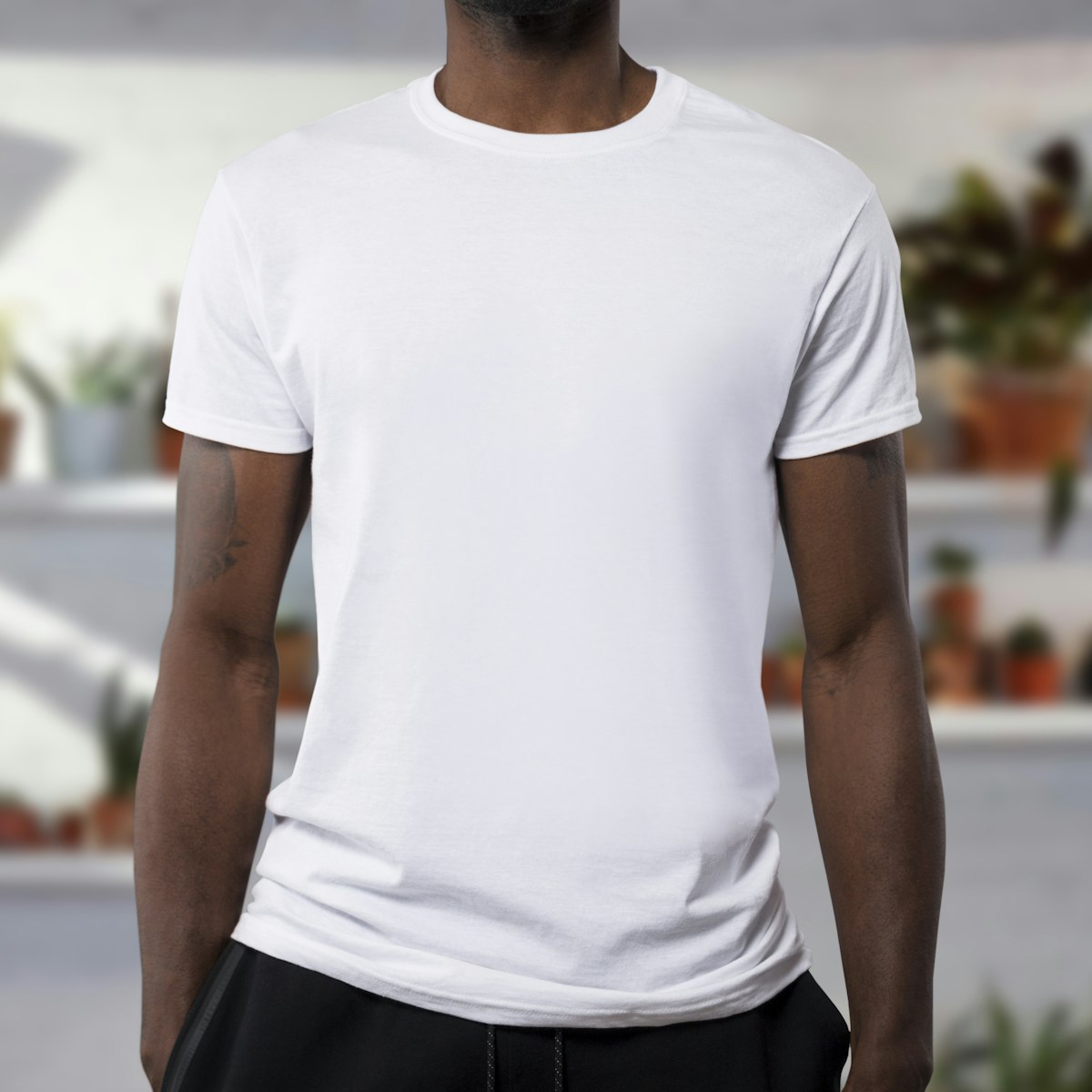 Áo thun basic 15