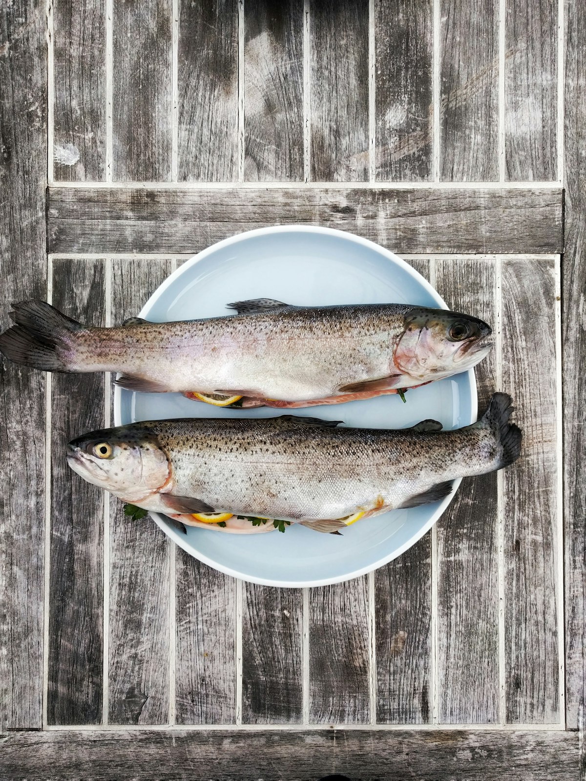 Cá bớp cắt khúc 100