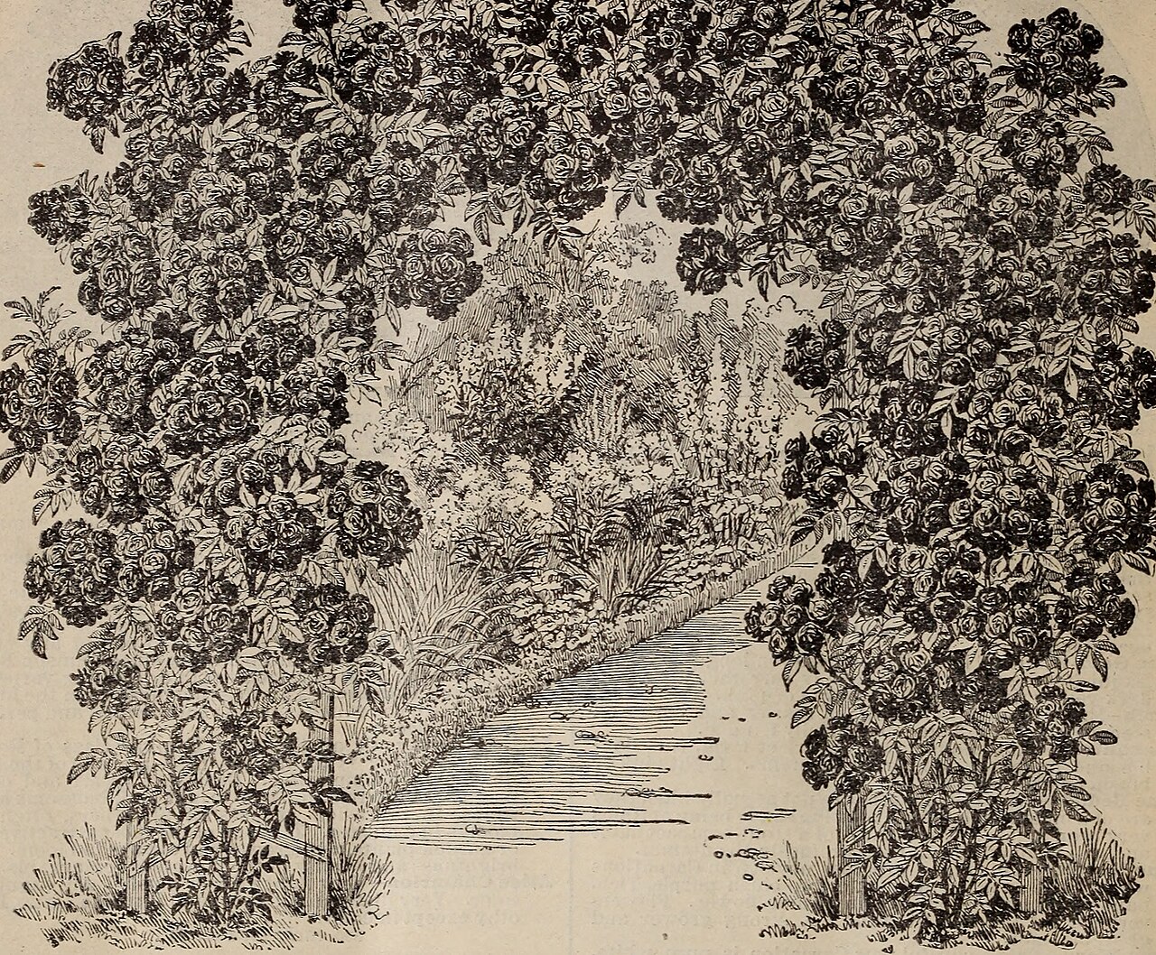 Kệ hoa khai trương 34