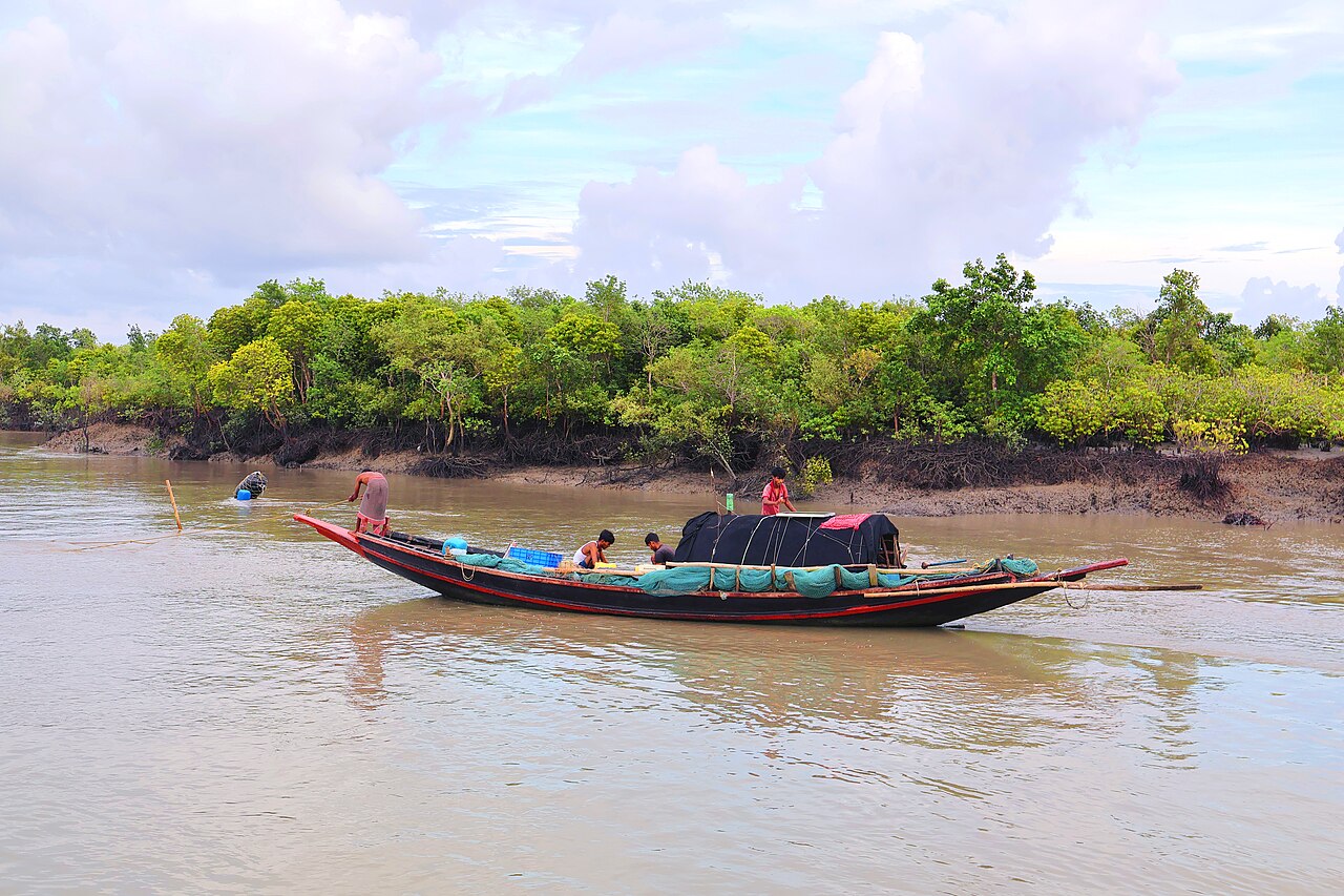 Tôm đất tươi 15