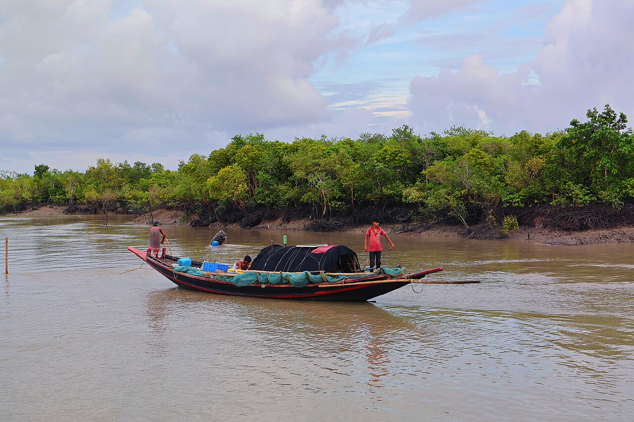 Tôm đất tươi 27