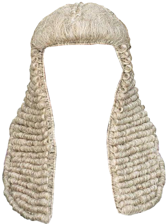 Judge's Wig