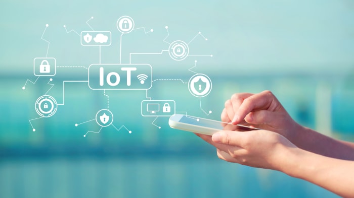 How To Boost Your Business With IoT Software Solutions