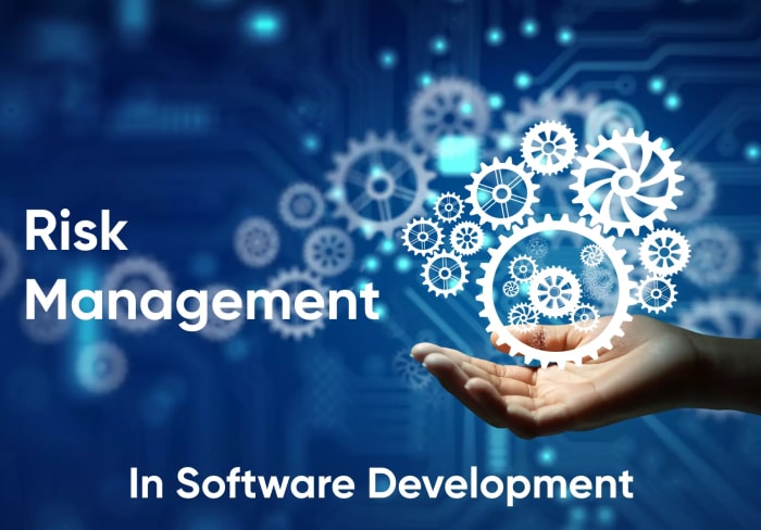 Risk Management in Software Development