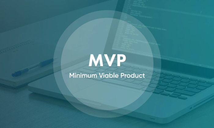 How to Reduce MVP Development Costs