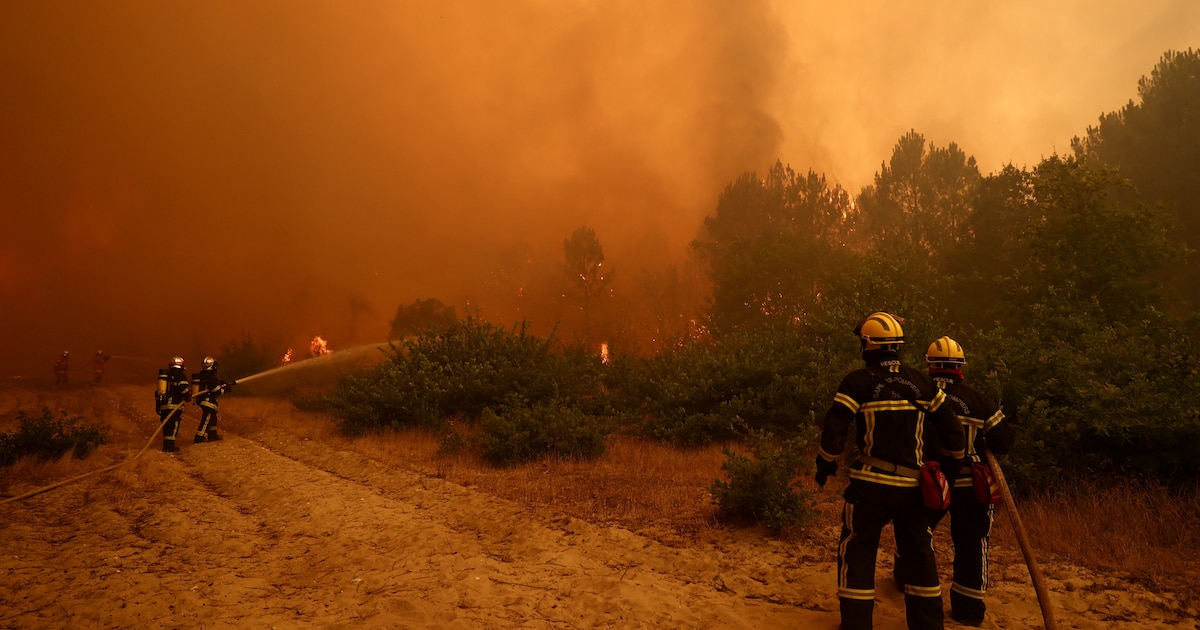 Imagen de la noticia