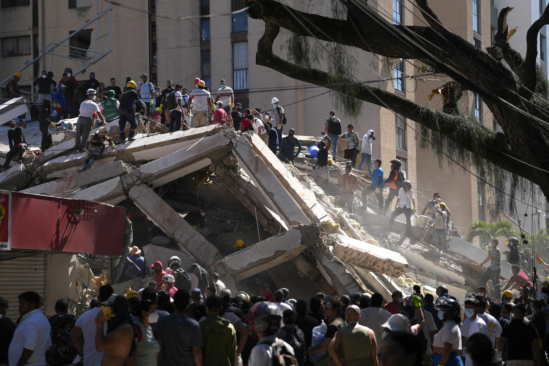 Imagen de la noticia