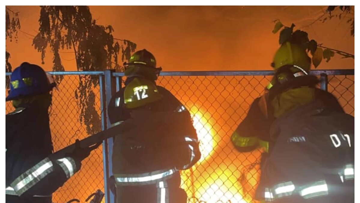 Imagen de la noticia