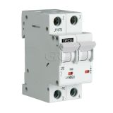 Teco Modular Circuit Breaker L9 TC 2P 50A 6kA C Curve img