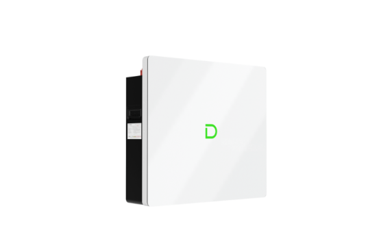 Dyness Powerbox G2 Low Voltage Battery 11740 img