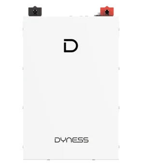 Dyness DL5.0F Low Voltage Batterij 12116 img