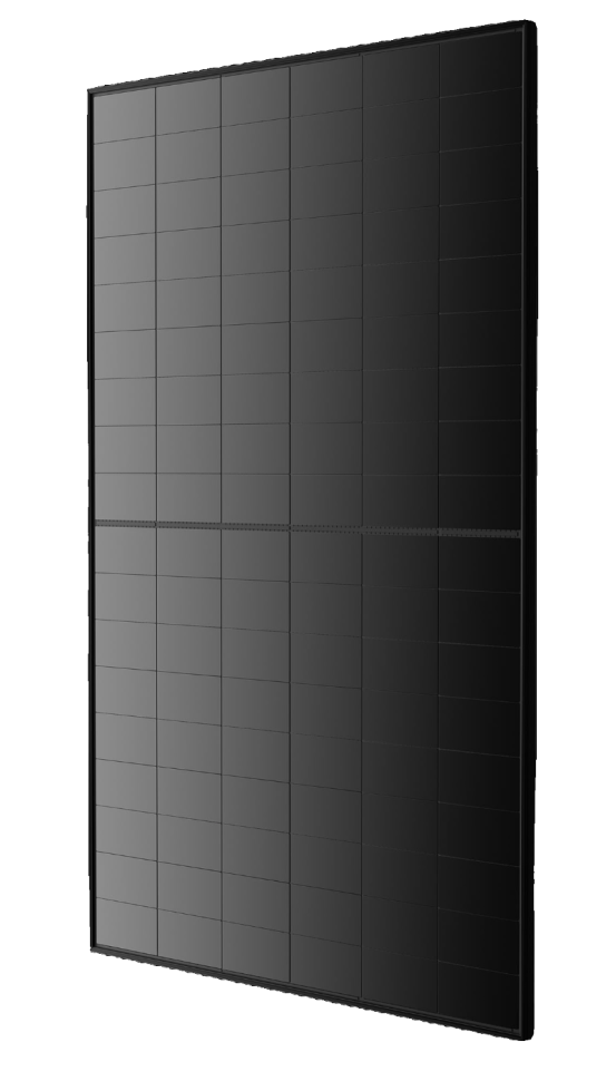 LONGi EcoLife X10 485M Single Glass Black 12170 img