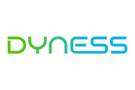 Dyness Commissioning On Site (232kWh < 2.320kWh) 12212 img