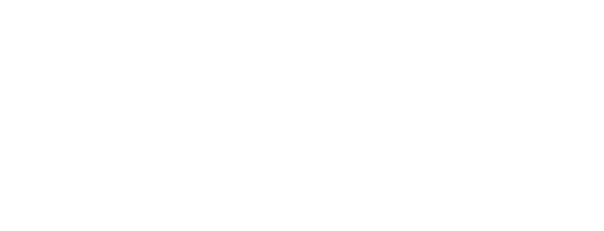 The Valve Company