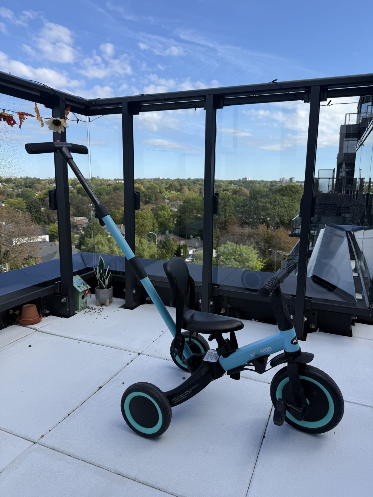 Adjustable Toddler Bicycle with removable pusher