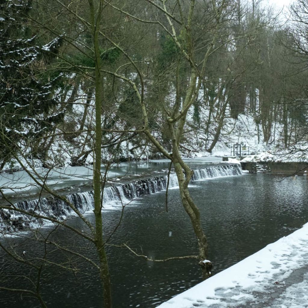 A river in the snow