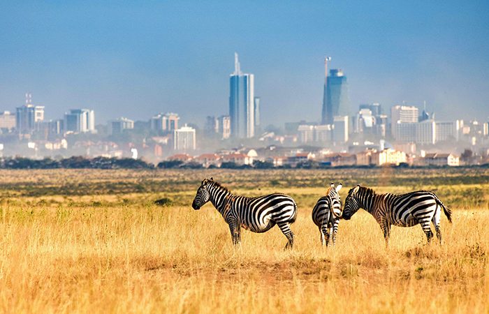 Image of Nairobi National Park