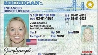 what is needed for new enhanced drivers license to fly