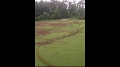 4 Wheeler Joy Ride Causes 80 000 In Damage At Golf Club Of Houston 4 Wheeler Joy Ride Causes 80 000 In Damage At Golf Club Of Houston