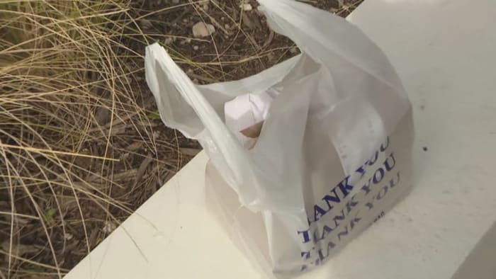 Tourist gets u0027disgustingu0027 delivery after ordering from Uber Eats