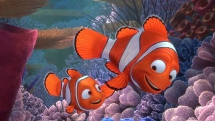 We finally know what happened to the barracuda that ate Nemo's mom in 'Finding Nemo'