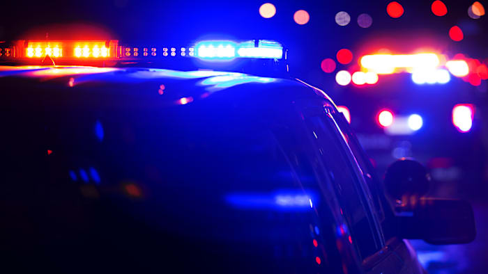 Christmas Eve car theft leads to police chase, arrest near Lodge Freeway