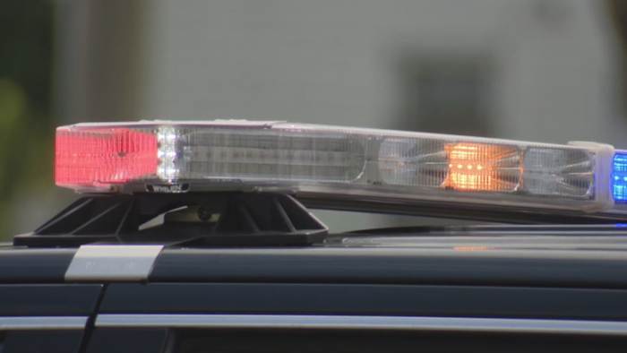 Macomb County man dies after being struck by lightning in Florida