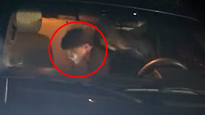 Video shows male accused of burglarizing multiple vehicles in Balcones Heights
