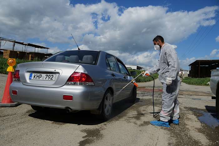 Cyprus plans mass livestock vaccination to halt spread of foot-and-mouth disease