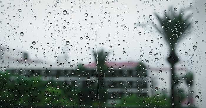 Houston's rain chances are going up: Here's when to expect the wet weather