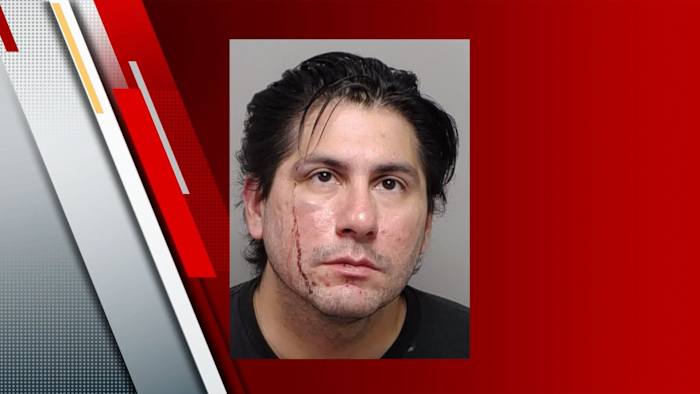 Man arrested after 2 dogs found dead inside vehicle in northeast Bexar County, BCSO says