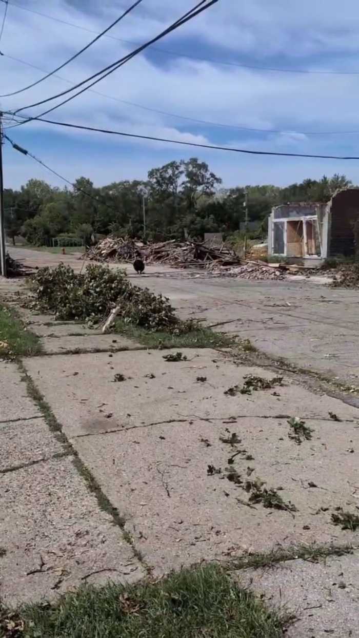Cleanup still underway on Detroit's east side after tornado touchdown