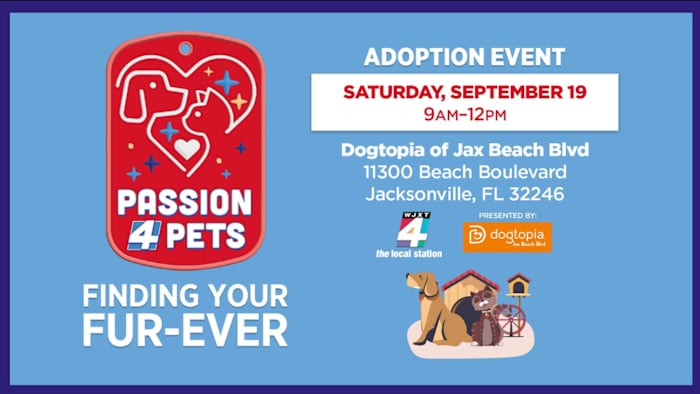 Find your fur-ever friend at Dogtopia of Jacksonville Beach Blvd’s Pet Adoption ...