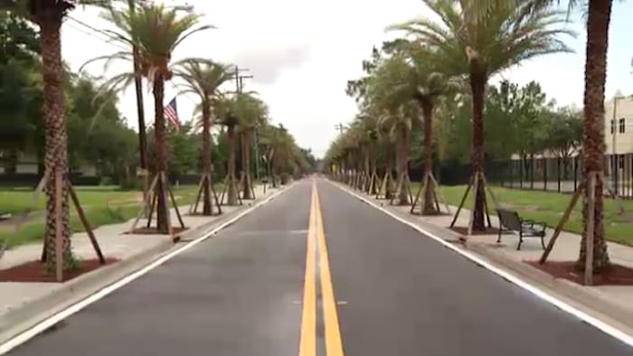 Expensive landscaping on roads, bridges costing taxpayers millions