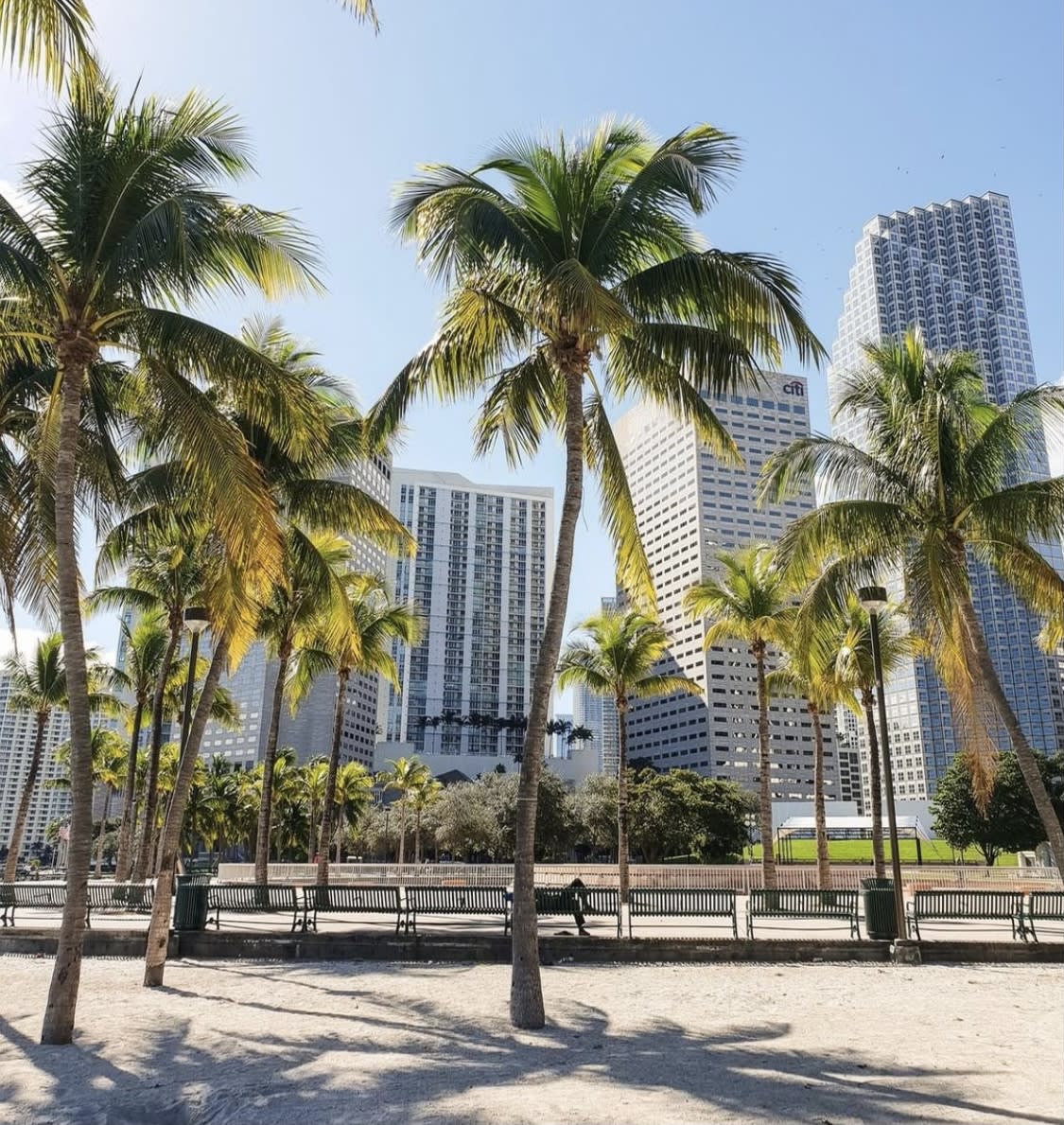 Parks and recreational facilities reopen across the City of Miami