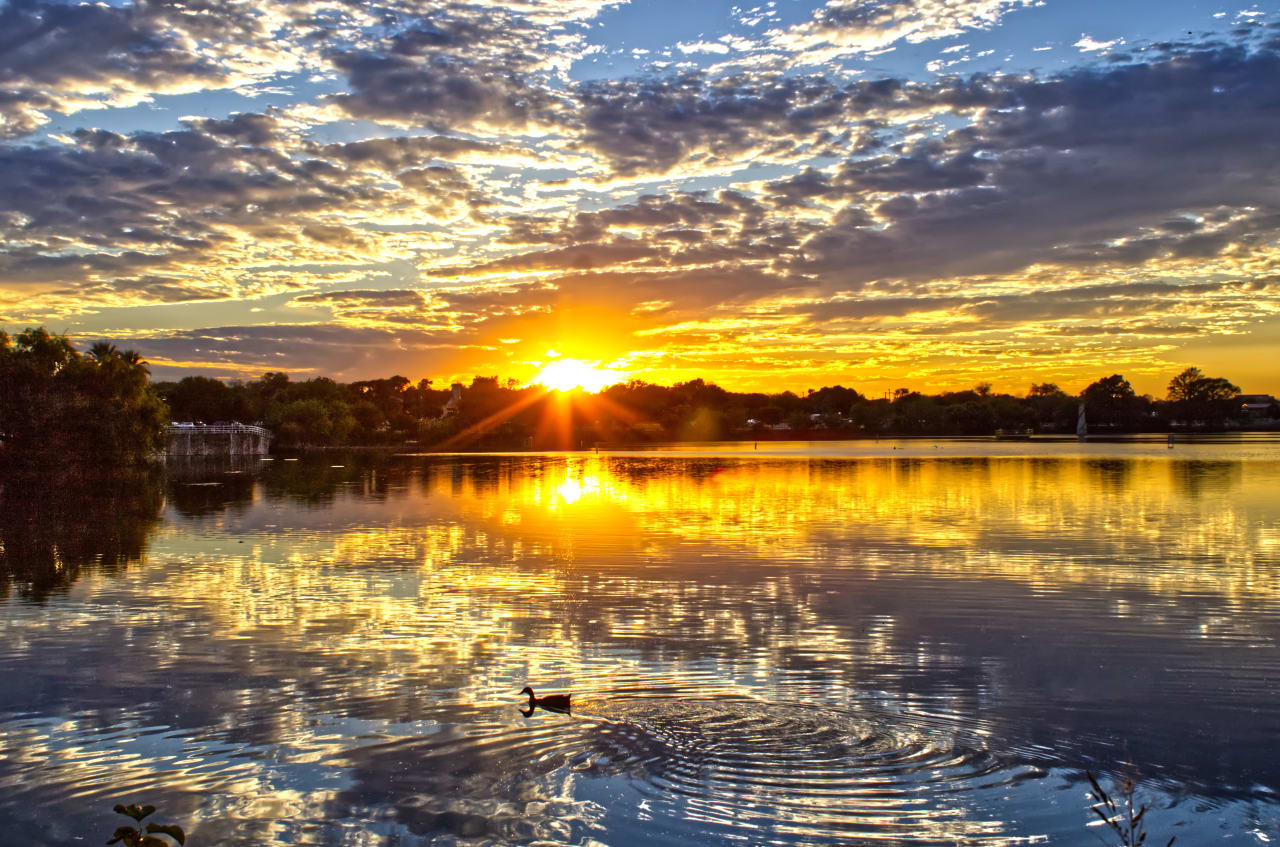 A post from Taylor Mcclelland in San Antonio.