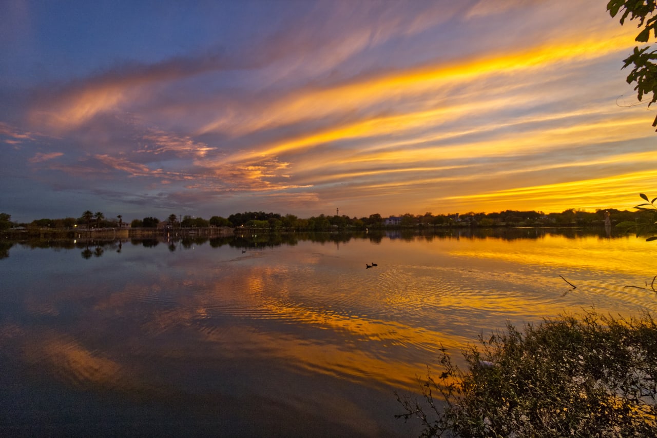 A post from Taylor Mcclelland in San Antonio.