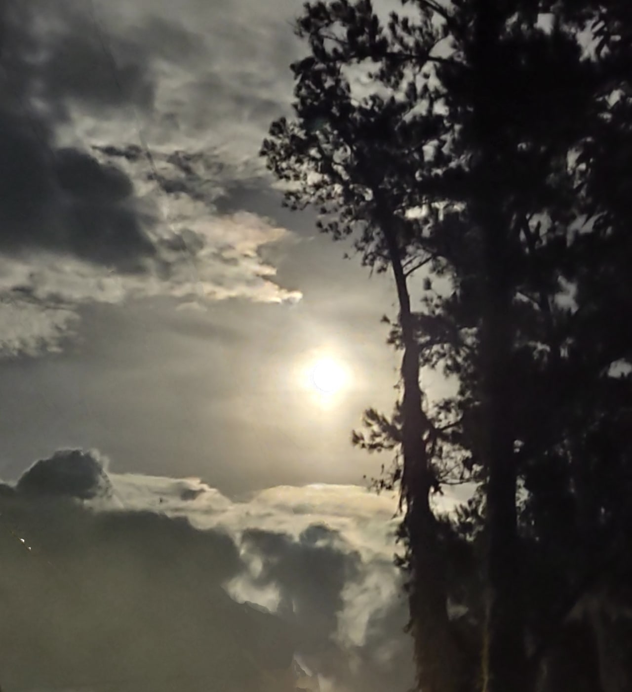 A post from Bobbie Jo Ritch in Jacksonville.